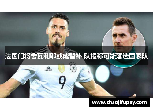 法国门将舍瓦利耶或成替补 队报称可能落选国家队