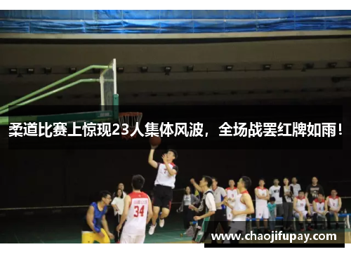 柔道比赛上惊现23人集体风波，全场战罢红牌如雨！